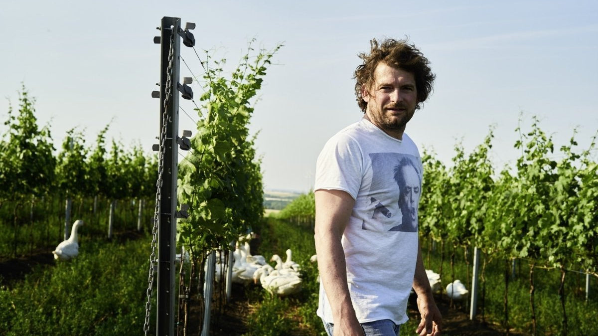 Aangenaam kennismaken: Herbert Zillinger - Lekker Sapje - Wijn voor mensen met humor