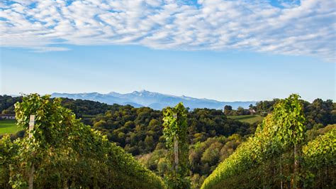 Jurançon: de onbekende parel van de Pyreneeën