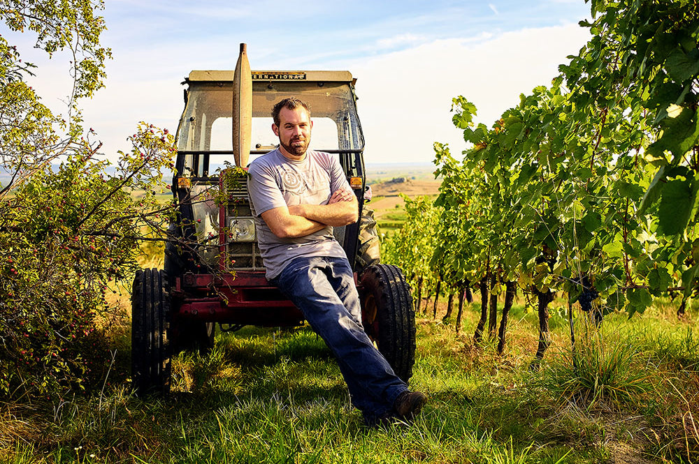 Wijnmaker Martin Reinfeld in zijn wijngaard in Burgenland, Oostenrijk