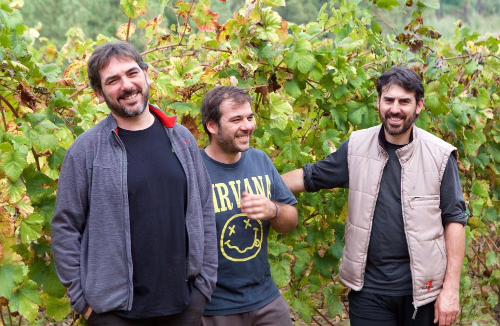 Arraiano Tinto, Cume do Avia, Ribeiro, Spanje, natuurwijn - Lekker Sapje - Wijn voor mensen met humor