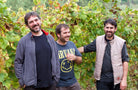 Arraiano Tinto, Cume do Avia, Ribeiro, Spanje, natuurwijn - Lekker Sapje - Wijn voor mensen met humor