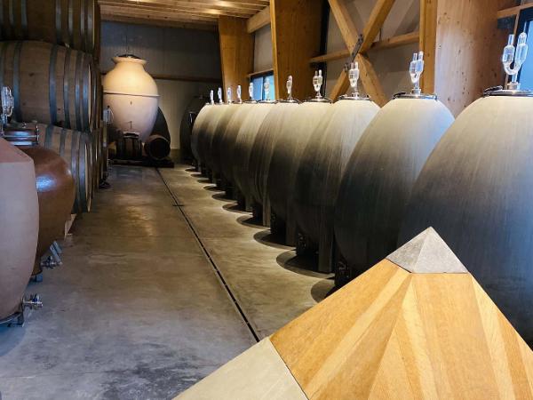 Chasselas 'Un matin face au lac', Les Vignes de Paradis, Savoie - Lekker Sapje - Wijn voor mensen met humor