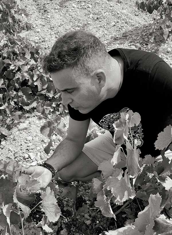 Demeurte One, Winery On, Yecla, Spanje - Lekker Sapje - Wijn voor mensen met humor