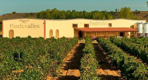 Gamonal Prieto Picudo, Pardevalles, Tierra de Léon, rode wijn Spanje - Lekker Sapje - Wijn voor mensen met humor