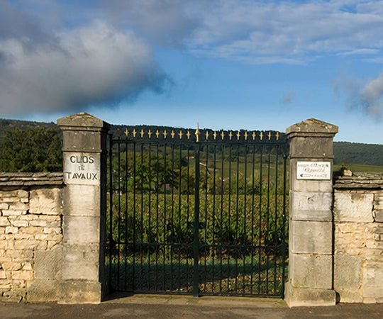 Wijngaard Clos des Tavaux Monopole, Francois Gaunoux, Meursault, Bourgogne, Frankijk