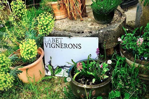 Pinot Noir Les Varrons, Domaine Labet, Jura 2022 - Lekker Sapje - Wijn voor mensen met humor