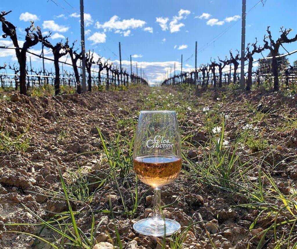 Clos Cibonne wijngaard, Tibouren rosé wijn, Provence, Frankrijk