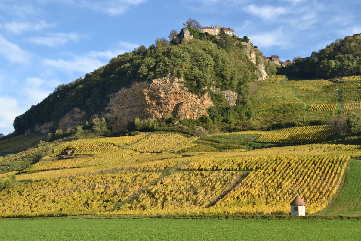 A&M Tissot, Chardonnay Sursis, Château-Chalon, Jura - Lekker Sapje - Wijn voor mensen met humor