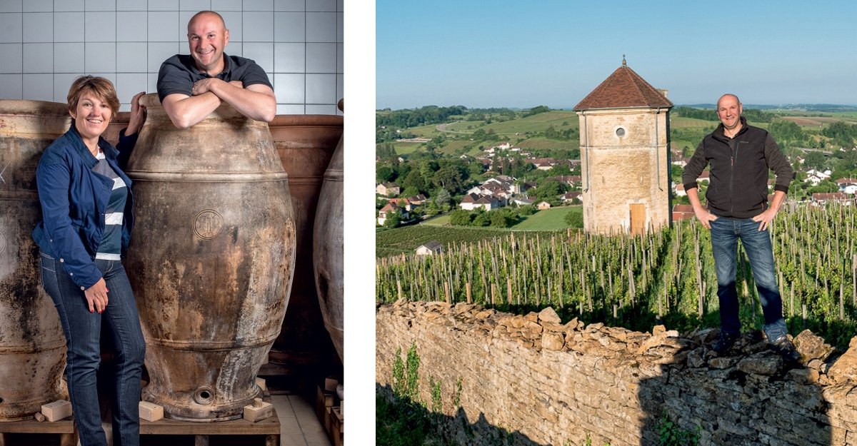 A&M Tissot, Poulsard Sur Lias, Jura - Lekker Sapje - Wijn voor mensen met humor