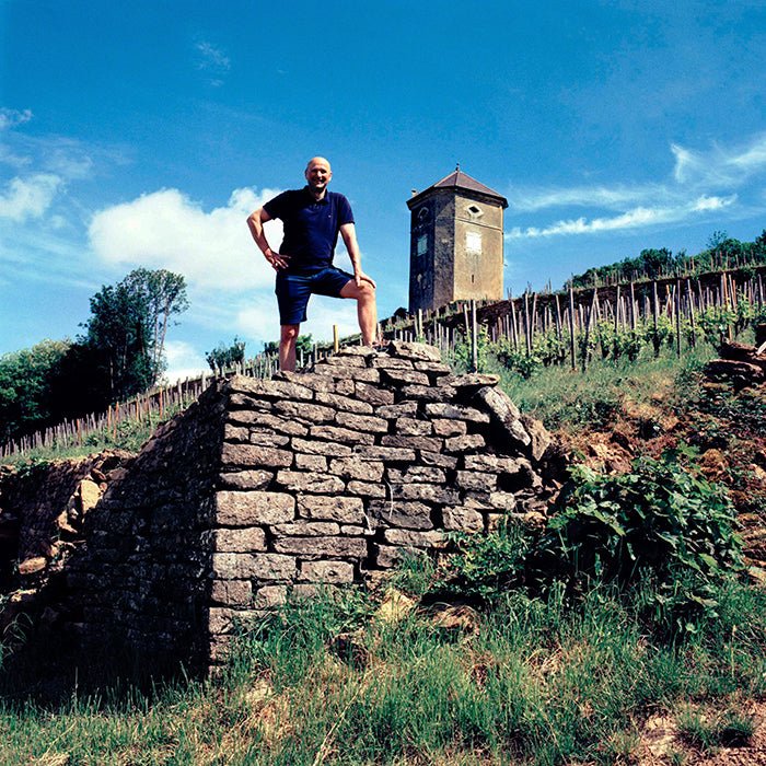 A&M Tissot, Savagnin Dévoilé 'La Vasée', Jura - Lekker Sapje - Wijn voor mensen met humor
