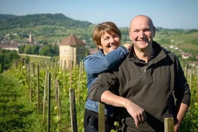 A&M Tissot, Traminer ouillé, Arbois, Jura - Lekker Sapje - Wijn voor mensen met humor