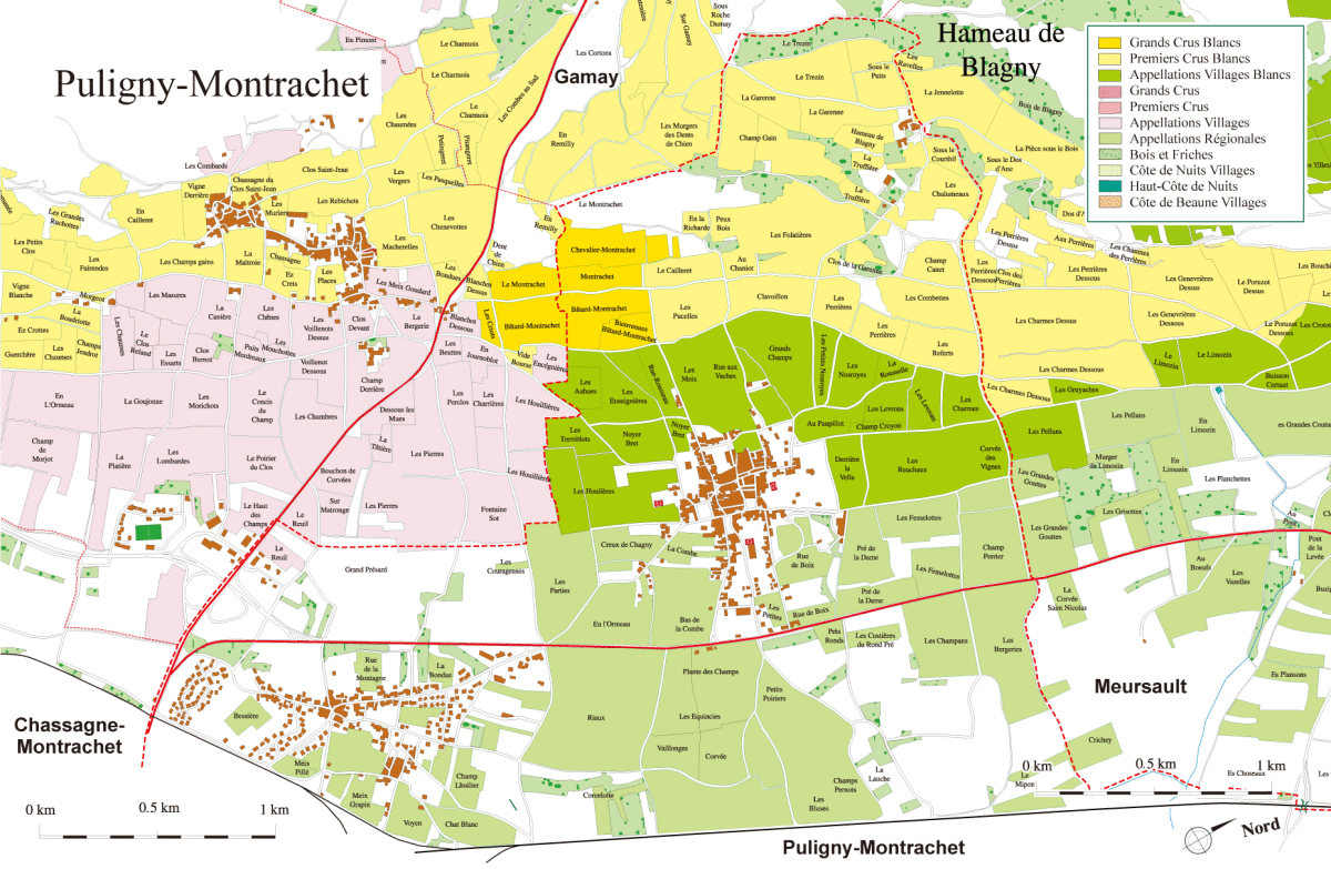Bourgogne Blanc Les Femelottes, Domaine Gauffroy, Puligny-Montrachet - Lekker Sapje - Wijn voor mensen met humor
