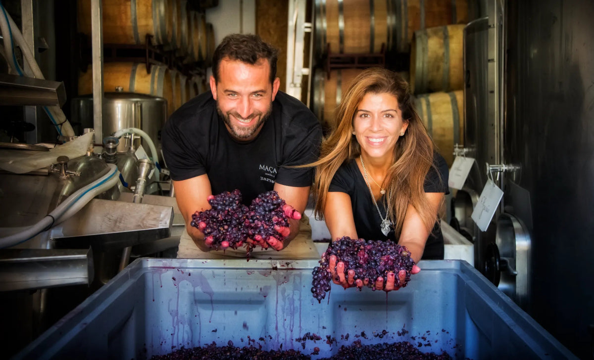 Douro Tinto, Maçanita, Douro, Portugal - Lekker Sapje - Wijn voor mensen met humor