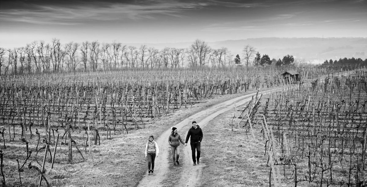 Grauburgunder Reserve Kalk, Ecker, Wagram, Oostenrijk - Lekker Sapje - Wijn voor mensen met humor