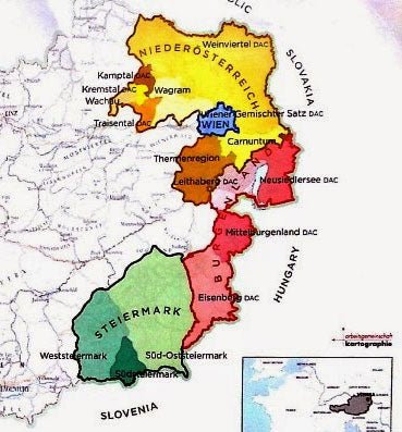 Grüner Veltliner Radikal, Herbert Zillinger, Weinviertel, Oostenrijk '20 - Lekker Sapje - Wijn voor mensen met humor