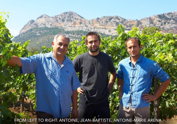 Patrimonio 'Grotte di Sole', JB Arena, Corsica - Lekker Sapje - Wijn voor mensen met humor