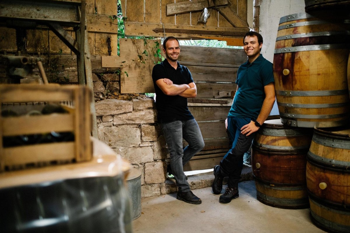 Reicholzheimer Schwarzriesling, Ehrlenbach, Franken - Lekker Sapje - Wijn voor mensen met humor