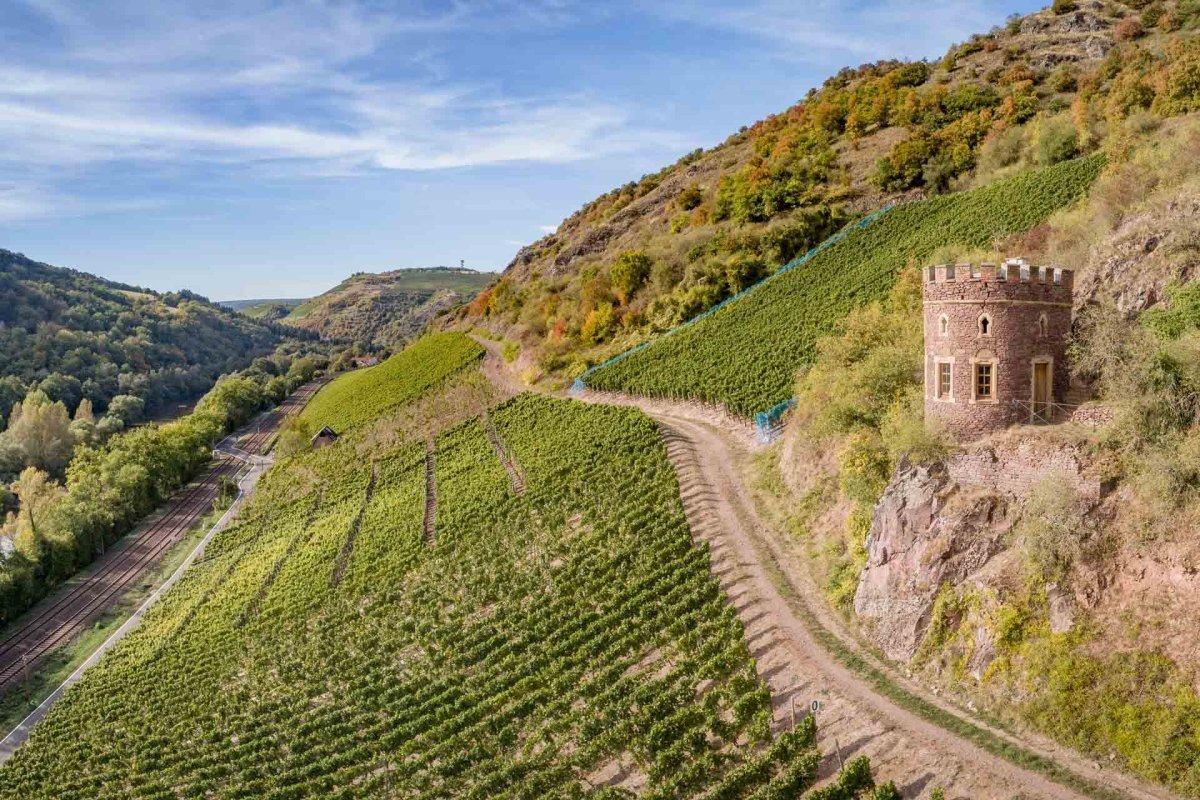 Riesling trocken, KH Schneider, Nahe, Duitse wijn - Lekker Sapje - Wijn voor mensen met humor