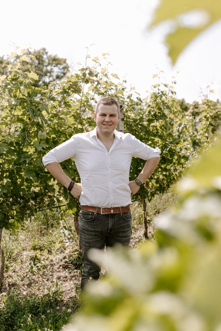 Rotgipfler Pfaffstätten, Lorenz Alphart, Thermenregion, Oostenrijk - Lekker Sapje - Wijn voor mensen met humor