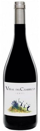 Rufete Villanueva, Viñas del Cámbrico, Salamanca, Spanje, biodynamisch - Lekker Sapje - Wijn voor mensen met humor