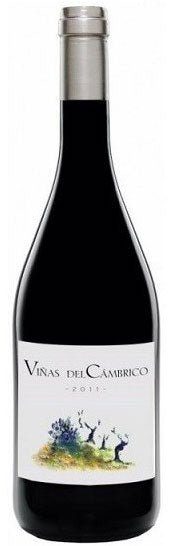 Rufete Villanueva, Viñas del Cámbrico, Salamanca, Spanje, biodynamisch - Lekker Sapje - Wijn voor mensen met humor