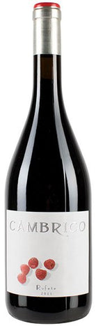 Rufete, Viñas del Cámbrico, Salamanca, Spanje, biodynamisch - Lekker Sapje - Wijn voor mensen met humor