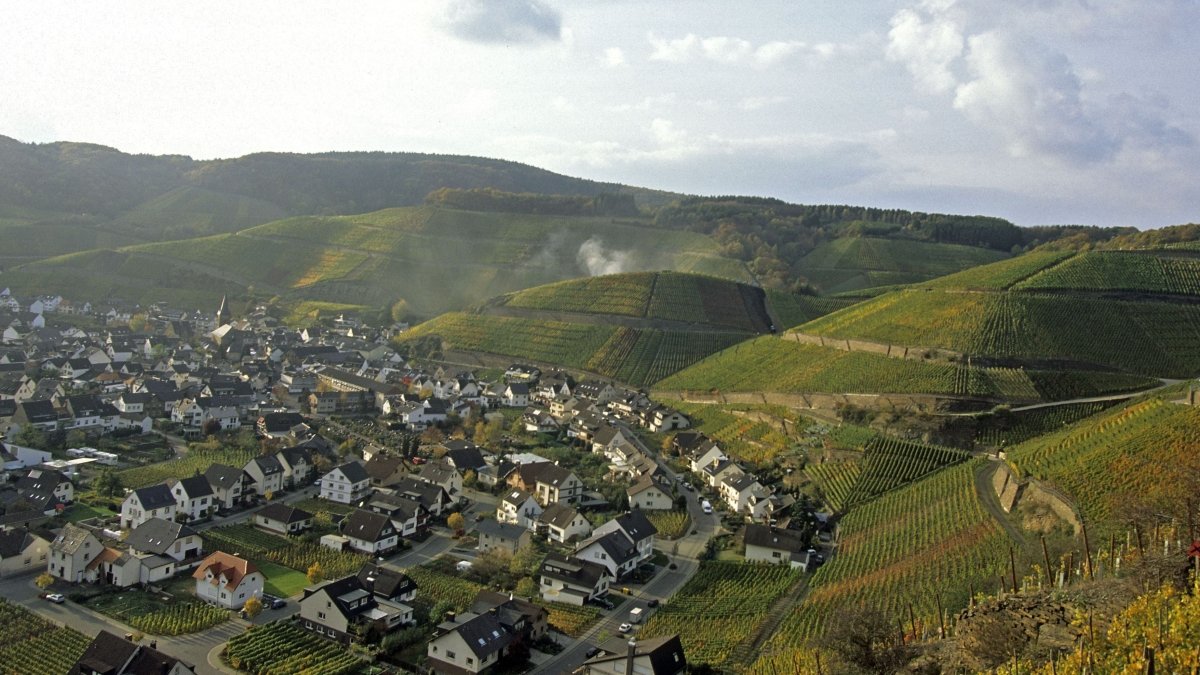 Spätburgunder Forstberg Erste Lage, Julia Bertram-Baltes, Ahr, Duitsland - Lekker Sapje - Wijn voor mensen met humor