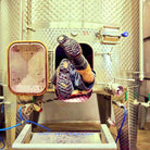 Zweigelt, Reinfeld, Burgenland, Oostenrijk - Lekker Sapje - Wijn voor mensen met humor