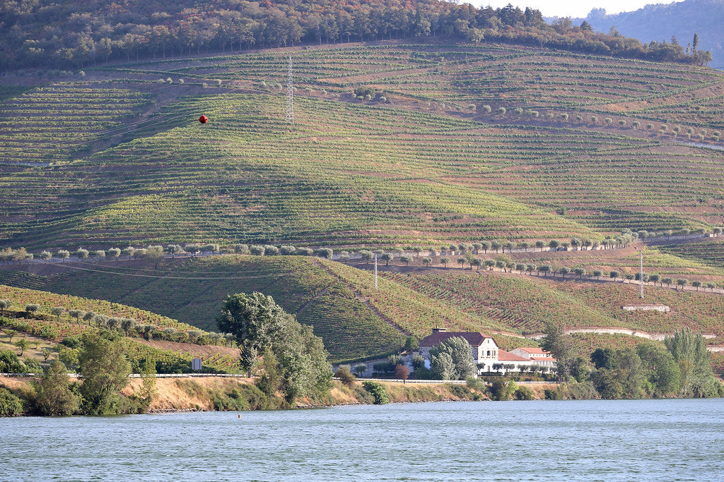 Quinta dos Frades, Douro, Portugal, uitzicht vanaf de overkant van de rivier