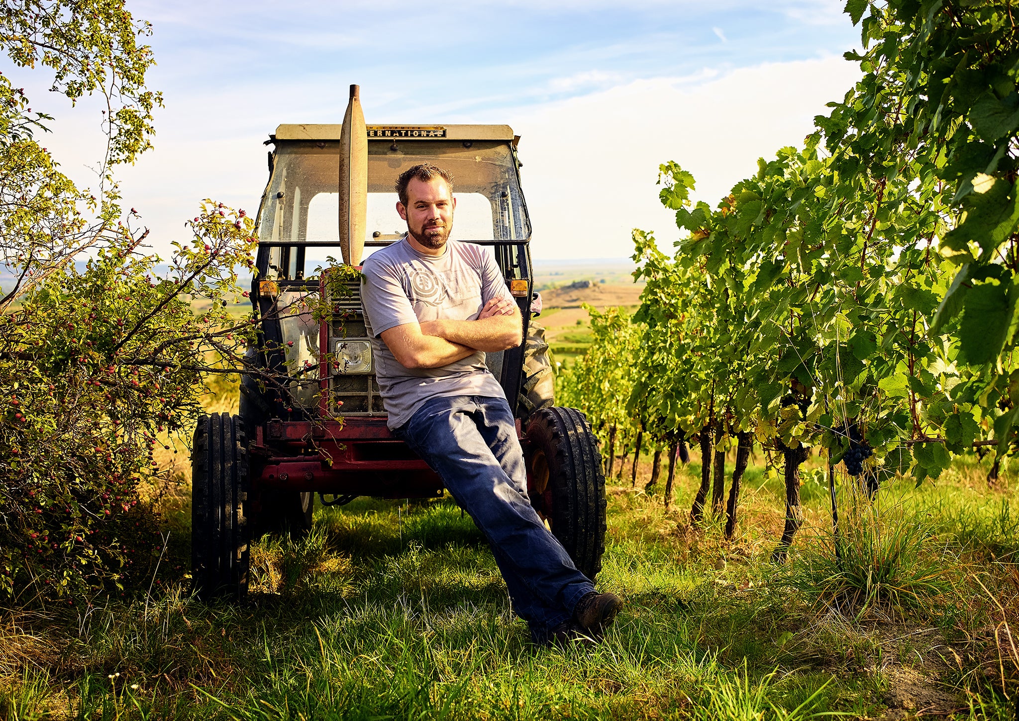 Wijnmaker Martin Reinfeld, DAC Leithaberg, Burgenland, Oostenrijk