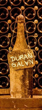 Cava Fosil Reserva Brut Nature, Duran Galan, Penedes, Spanje - Lekker Sapje - Wijn voor mensen met humor
