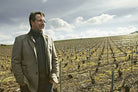 Champagne wijnmaker Arnaud Robert in wijngaard, Frankrijk