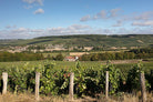 Champagne wijngaarden, A. Robert, Fossoy, Vallée de la Marne, Frankrijk