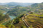DR Tinto Reserva, Quinta da Levandeira, Douro, Portugal - Lekker Sapje - Wijn voor mensen met humor