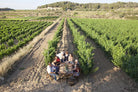 wijngaard l'arnot negre, vins la botera, terra alta, spanje