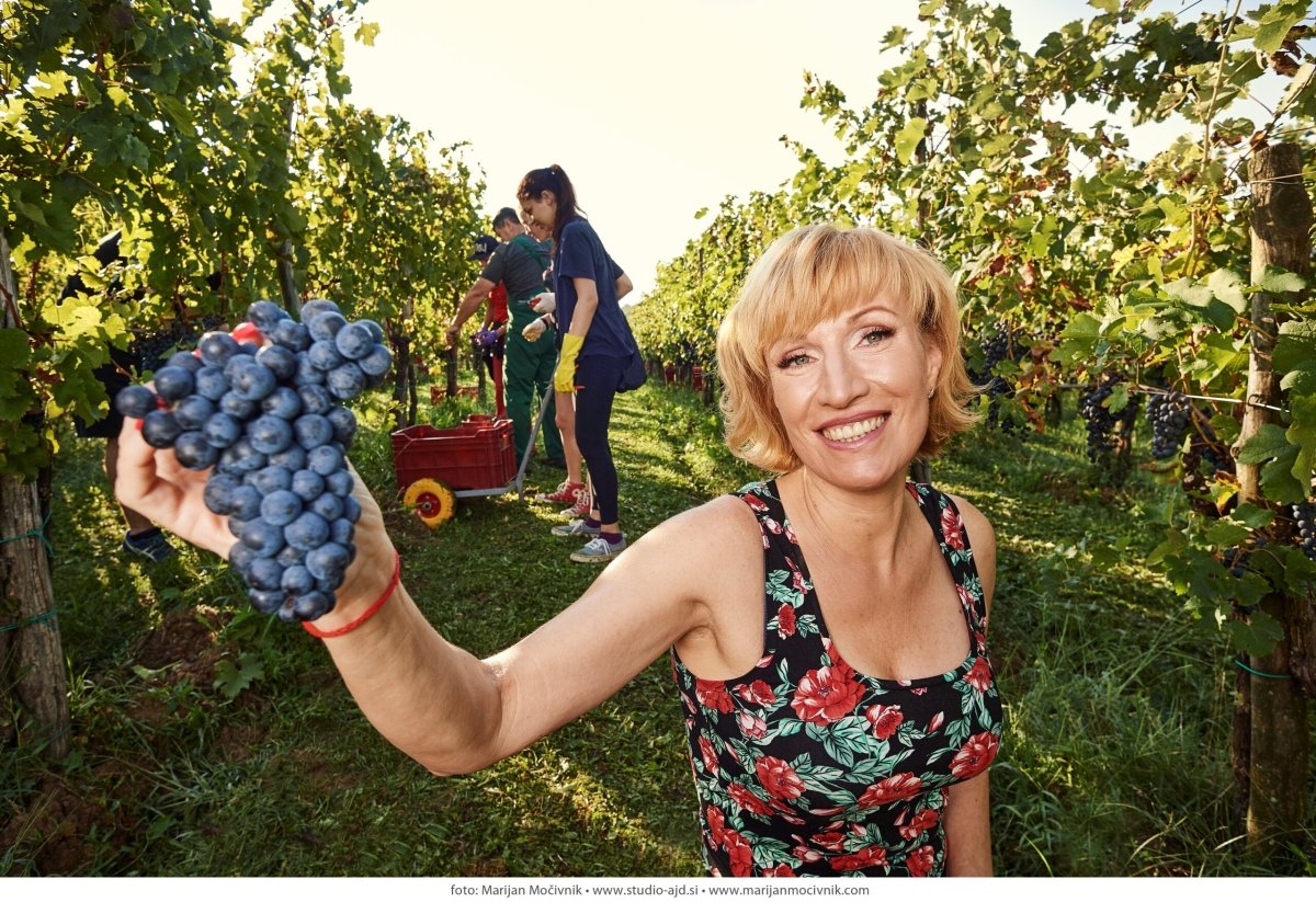 Malvasia, Saxida, Vipava, Slovenië - Lekker Sapje - Wijn voor mensen met humor