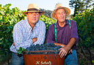 Petit Verdot, F. Schatz, Malaga, Spanje, biodynamisch - Lekker Sapje - Wijn voor mensen met humor