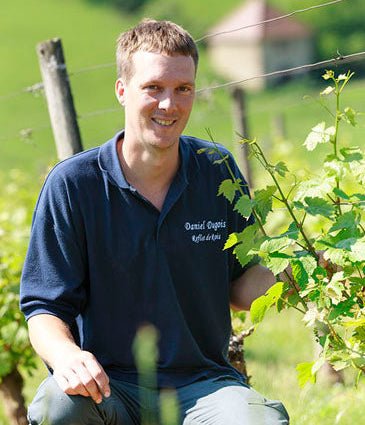 Ploussard La Sombarde, Daniel Dugois, Jura - Lekker Sapje - Wijn voor mensen met humor