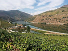 Quinta dos Frades, Douro, Portugal, uitzicht op de quinta en de Douro rivier.