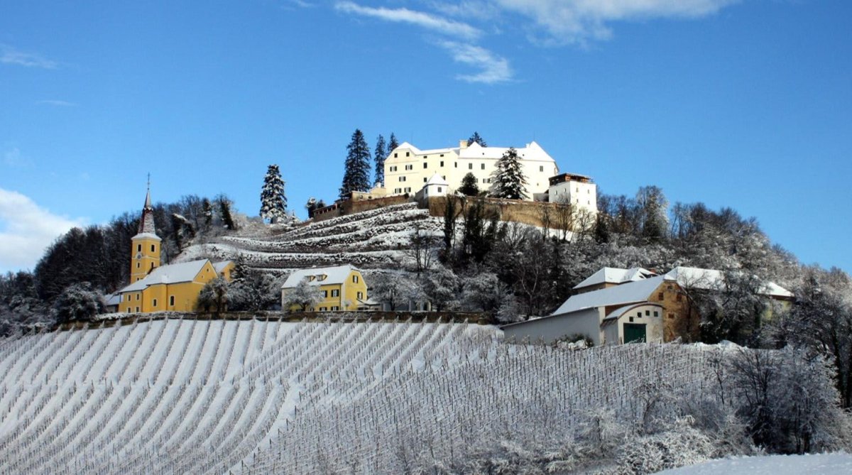 Sauvignon blanc, Winkler - Hermaden, Vulkanland - Steiermark, Oostenrijk - Lekker Sapje - Wijn voor mensen met humorSchloss Kapfenstein van wijnhuis Winkler-Hermaden, bovenop een oude vulkaan, met rondom wijngaarden en eikenbossen