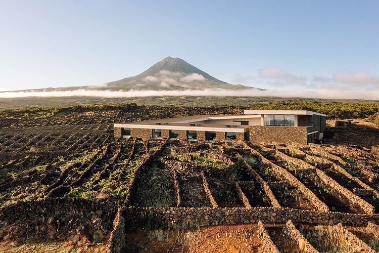 Terrantez do Pico, Azores Wine Company, DO Pico, Portugal - Lekker Sapje - Wijn voor mensen met humor