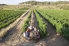 Wijnhuis Vins la Botera, Terra Alta, Spanje