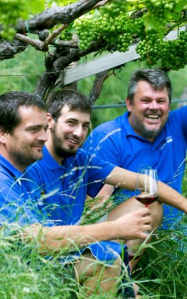 Weissburgunder Terlaner, Muri-Gries, Alto Adige - Lekker Sapje Wijnshop