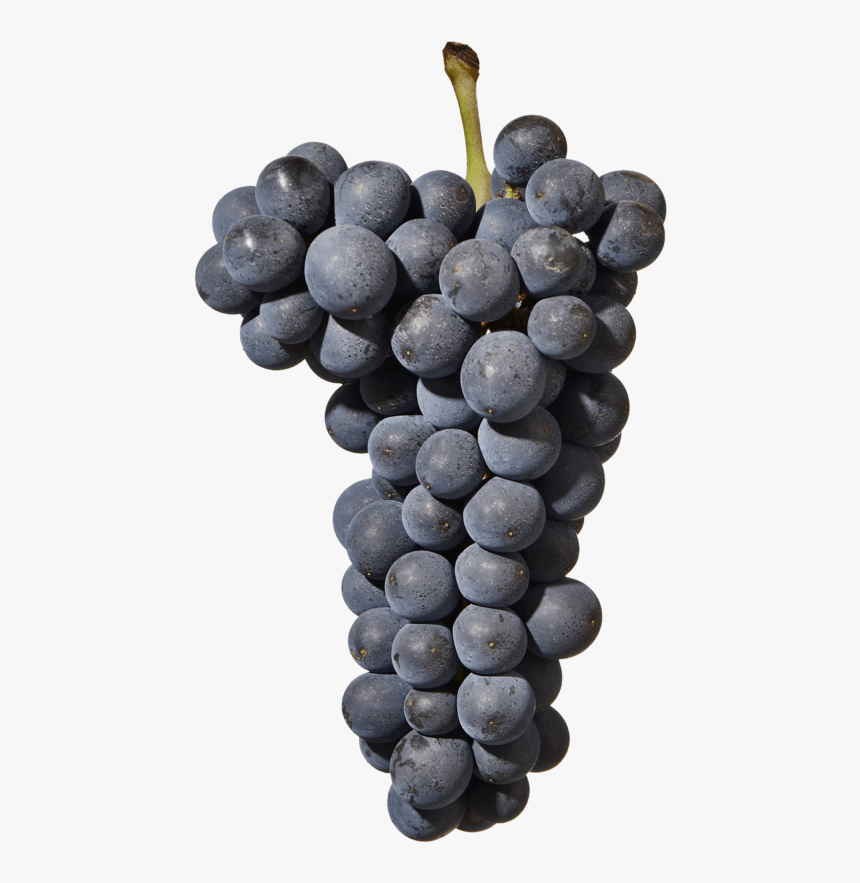 A&M Tissot Pinot noir Sous la Tour, Jura natuurwijn