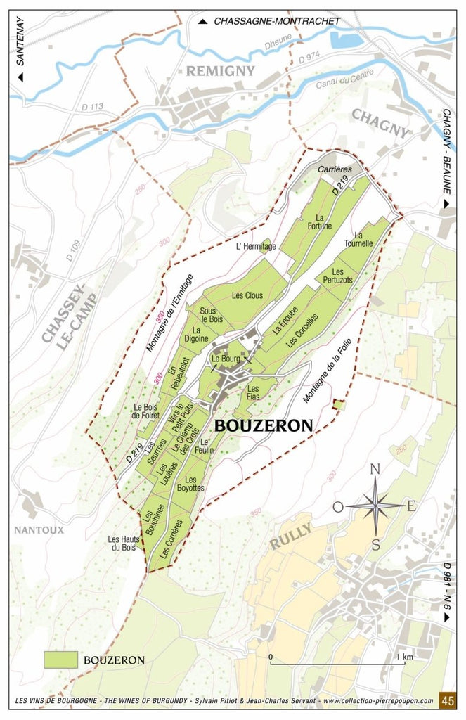 Bouzeron, Ramonet, Bourgogne - Lekker Sapje - Wijn voor mensen met humor