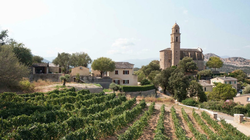 Morta Maio, Antoine Arena, Patrimonio, Corsica - Lekker Sapje - Wijn voor mensen met humor