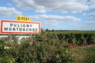Puligny-Montrachet Veilles Vignes, Borgeot, Bourgogne - Lekker Sapje - Wijn voor mensen met humor
