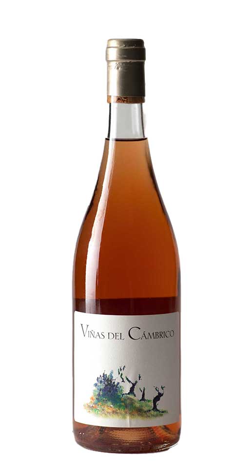 Rosé, Viñas del Cámbrico, Salamanca, Spanje, biodynamisch - Lekker Sapje - Wijn voor mensen met humor